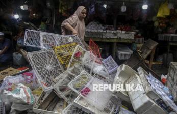 Meluber ke Bahu Jalan, Lapak Pedagang Buah di Ternate Ditertibkan Petugas