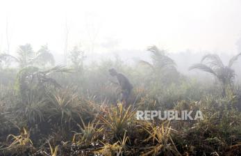Karhutla Riau Memburuk, Pemerintah Kerahkan 120 Manggala Agni dan Lakukan OMC