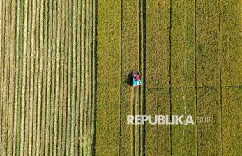 Luas Panen Padi Indonesia Hingga September 2026 Capai 9,46 Juta Hektare