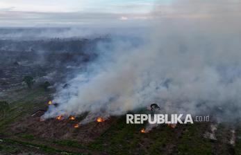 Karhutla di Aceh Meluas, Kabut Asap Tebal Selimuti Permukiman Warga