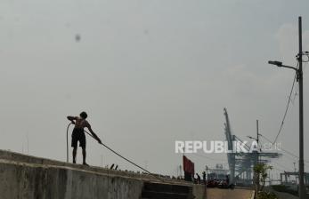In Picture: Geliat Aktivitas Nelayan di TPI Kalibaru