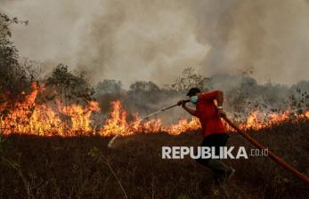 Karhutla di Palangka Raya Capai 1.448 Hektare, Status Tanggap Darurat Diperpanjang