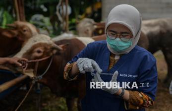 In Picture: Pemprov Jakarta Perketat Pengawasan Kesehatan Hewan Qurban