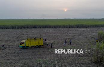 In Picture: Menuju Swasembada Gula Nasional