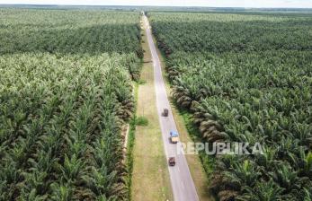 Kementerian Kehutanan dan Pertahanan Bahas Tutupan Lahan Sawit