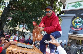 Protes Harga Pakan Tinggi, Peternak Gelar Aksi Bagi-bagi Ayam dan Telur Gratis