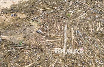 Pasca Banjir Bandang, Tumpukan Kayu Gelondongan Penuhi Pantai Air Tawar Padang