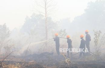 In Picture: 65 Hektare Lahan Terbakar, Pemkab Kubu Raya Tetapkan Status Tanggap Darurat Bencana Asap 
