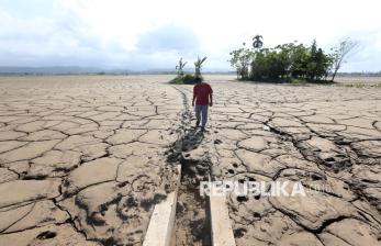 56.652 Hektar Lahan Persawahan di Aceh Rusak Akibat Bencana Banjir Bandang dan Longsor