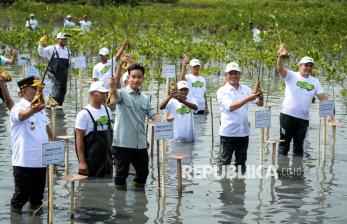 Aksi Wapres Gibran Tanam Mangrove di Mauk Tangerang