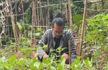 Pertanian Kota di Jagakarsa: Kolaborasi dan Edukasi