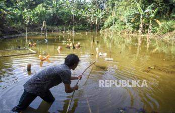 In Picture: Menanti Layanan Air Bersih di Samarinda Ulu