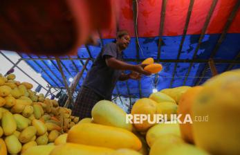 Omset Pedagang Timun Suri di Pasar Induk Kramat Jati Melonjak Saat Ramadhan