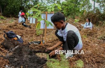 In Picture: Aksi Peduli Lingkungan, Pelajar Tanam Pohon di Lahan Gambut