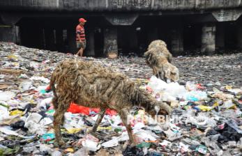 Pemprov Jakarta Uji Coba Pengelolaan Sampah Kolaboratif, Enam Kelurahan Jadi <em>Pilot Project</em>
