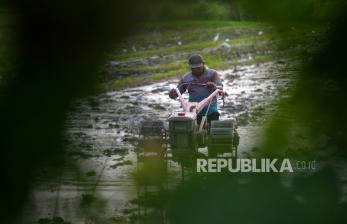 Contoh Nyata Dukung Ketahanan Pangan, Bupati Aceh Besar: Layanan Bajak Sawah Gratis