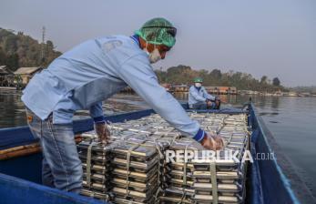 Perjuangan Mengantar MBG ke Desa Terluar Halmahera Selatan