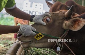 Tim Kesehatan Diterjunkan Periksa Hewan Kurban