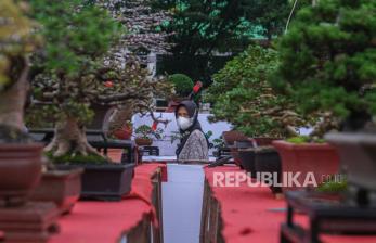 In Picture: Pameran dan Kontes Bonsai di Kendari