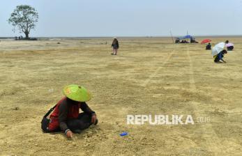 Berharap Butiran Emas dari Danau yang Mengering