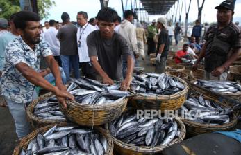 In Picture: Penanganan Anjloknya Harga Ikan oleh KKP di Aceh
