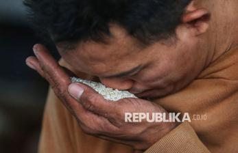 Kemendag Uji Acak Beras Premium, Begini Hasilnya