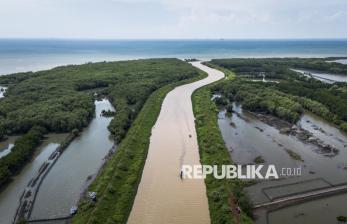 Kawasan Mangrove Tapak Semarang Jadi Pelindung Pesisir dan Destinasi Ekowisata