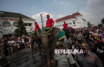 Pasukan Gajah Turut Ramaikan Grebeg Maulud 2025 di Yogyakarta