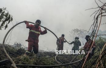 Karhutla Riau Belum Padam, 14 Hektare Lahan di Rimbo Panjang dan Pagaruyung Hangus Terbakar