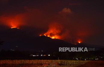In Picture: Kebakaran Hutan Gunung Lawu