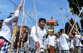 Melihat Tradisi Mekotek, Warisan Budaya Tak Benda Indonesia dari Bali