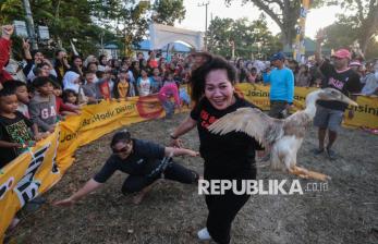 Kocak dan Seru, Lomba Tangkap Itik Warnai Perayaan Kemerdekaan di Kendari