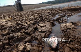 Kemarau Panjang, Debit Air Waduk Delingan Menyusut
