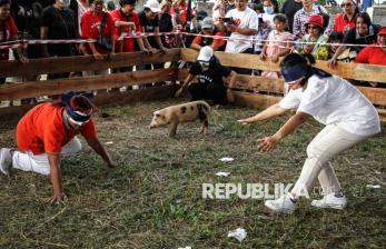 Lomba Menangkap Anak Babi Semarakkan HUT RI di Palangka Raya