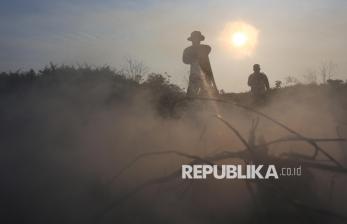 Karhutla di Aceh Barat Terus Meluas, 17 Hektar Lahan Hangus Terbakar