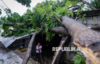 Rumah dan Mobil Warga di Tangerang Rusak Tertimpa Pohon Tumbang
