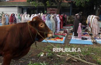 Dari Desa hingga Kota, Ragam Momen Sholat Idul Adha 1447 H di Indonesia
