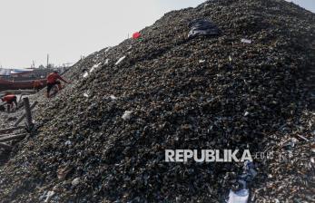 Limbah Cangkang Kerang Menggunung di Cilincing