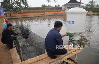 In Picture: Panen Raya Program Desa Perikanan Digital