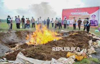 In Picture: Polres Lumajang Musnahkan Puluhan Ribu Pohon Ganja