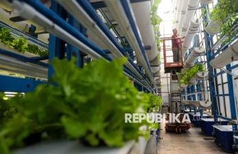 Menanam Harapan dari Menara Sayur di Tengah Padatnya Jakarta