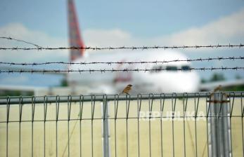 Pesawat Lion Air Tertabrak Burung Sehingga Harus Kembali ke Bandara 