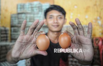 In Picture: Harga Telur Ayam di Pasar Rawamangun Jakarta Tembus Rp 31.000 Per Kilogram