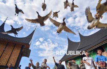 Pacu Itik Terbang, Warisan Budaya yang Terus Dijaga Masyarakat Payakumbuh