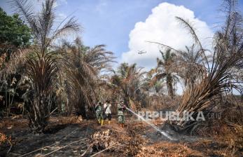 Upaya Pemadaman Karhutla di Muara Enim