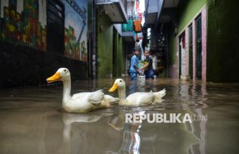 Usai Pilkada Jakarta, Wilayah Kebon Pala Terendam Banjir hingga 2,5 Meter