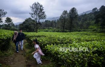PTPN Pastikan Pengelolaan Agrowisata Gunung Mas Sesuai Aturan
