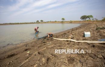 Kemarau Datang, Petani Indramayu Andalkan Pompa Air untuk Selamatkan Sawah
