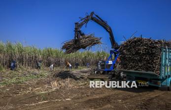 Tebu di Malang Diolah Jadi Bioetanol, Perkuat Industri dan Ketahanan Energi