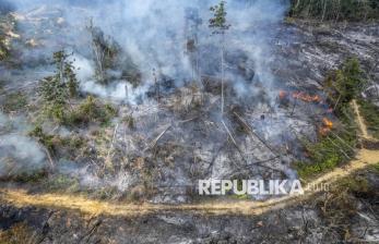 Jejak Pembalakan di Tengah Karhutla Batang Hari